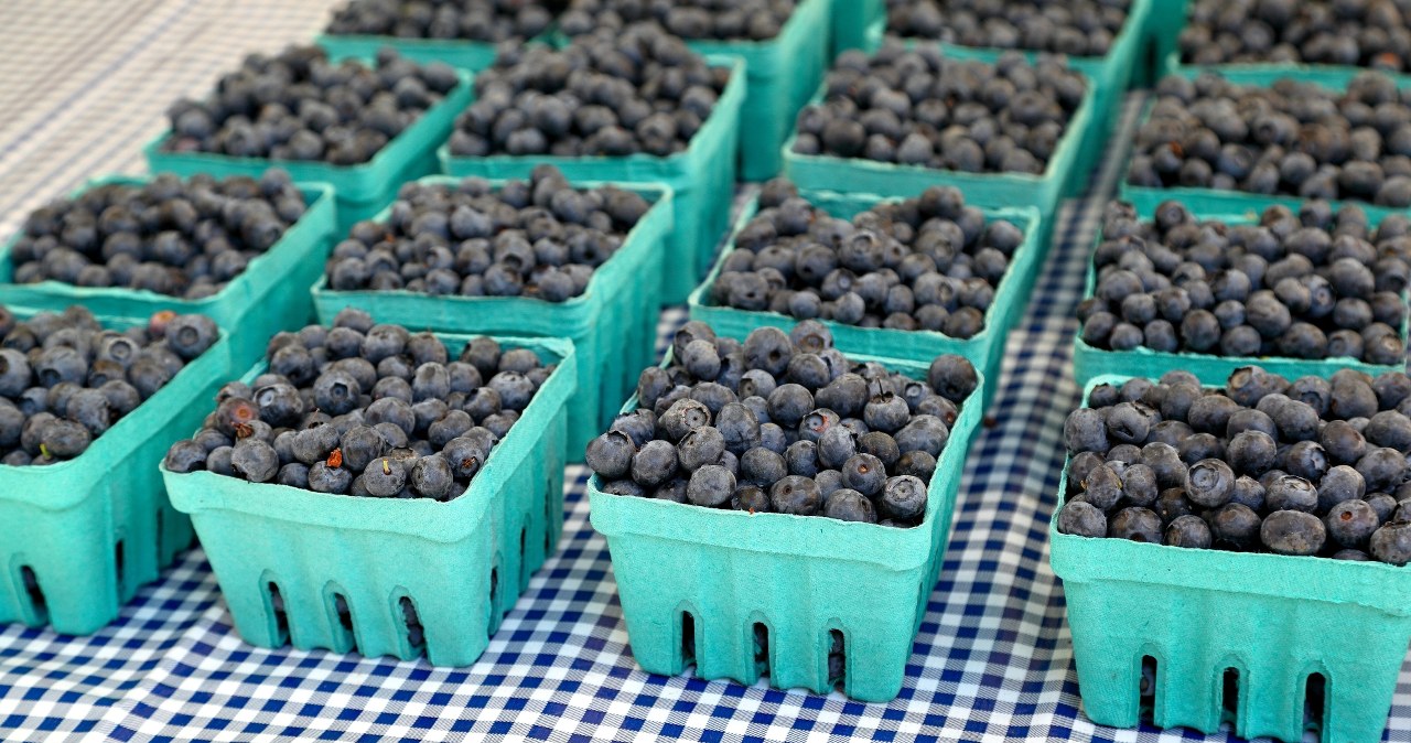 Kolejny rynek otwiera się na polskie owoce. Borówka trafi do Wietnamu