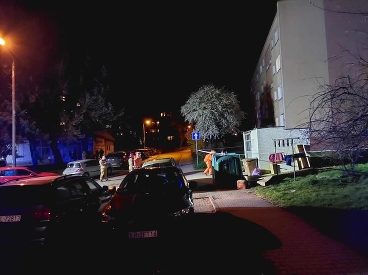 Nadal trwają poszukiwania urządzenia zawierającego promieniotwórczy selen, które zgubili drogowcy pracujący w Nowej Hucie w Krakowie. Zatrzymany został 33-letni pracownik firmy, któremu zarzucono nieodpowiedni nadzór nad sprzętem. Urządzenie to jest wykorzystywane do wykrywania ubytków w nawierzchni dróg. 