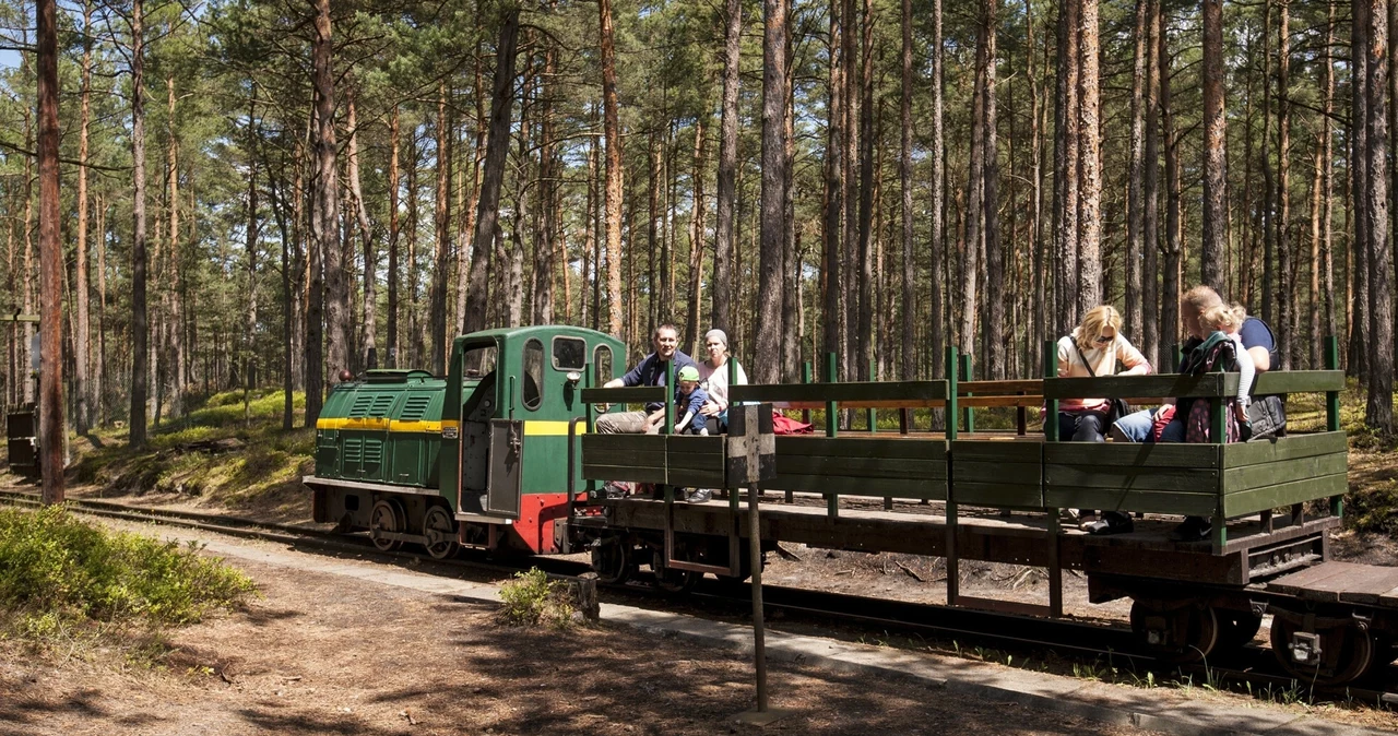  Wiosenna propozycja weekendowa: Przejażdżka kolejką wąskotorową po Półwyspie Helskim