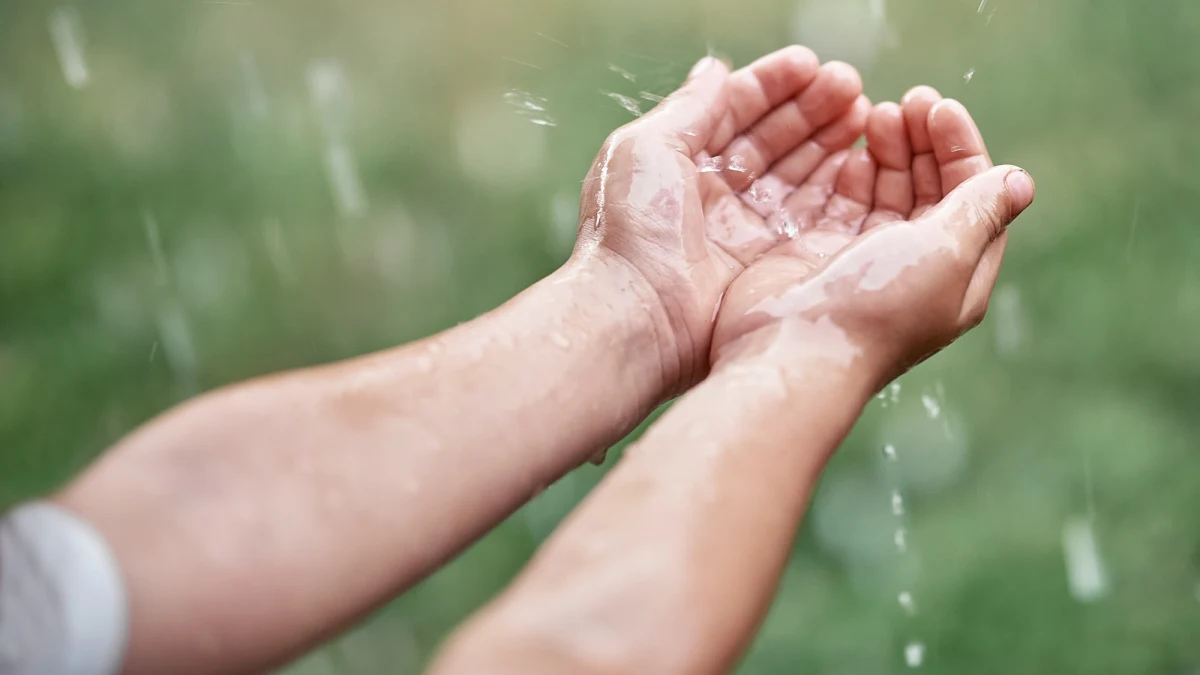 600 tys. złotych – to kwota, którą w tym roku Wrocław przeznacza na program Złap Deszcz. O dotację mogą starać się osoby fizyczne, wspólnoty i spółdzielnie mieszkaniowe. Dzisiaj ruszył nabór wniosków. Oferta jest ważna do wyczerpania środków. W zeszłorocznej edycji pula pieniędzy została wyczerpana w zaledwie dwa tygodnie. 