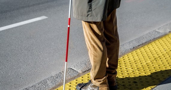 Dzięki czujnej sąsiadce policjanci zatrzymali w Rudzie Śląskiej zatrzymali mężczyznę, który pod pozorem pomocy niewidomemu, ukradł mu portfel i klucz, a potem próbował obrabować jego mieszkanie.   