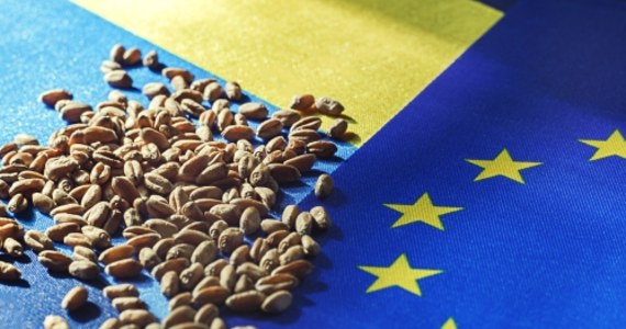 "Jesteśmy wystarczającą grupą krajów, żeby mieć mniejszość blokującą i żeby domagać się zmian w umowie" – powiedział w Brukseli minister rolnictwa Francji Marc Fesneau. Chodzi o wprowadzenie do bezcłowej umowy handlowej z Ukrainą większych ograniczeń na import rolny z Ukrainy. Oznacza to, że grupa ta ma mocną kartę przetargową, bo mogłaby teoretycznie zablokować nawet przedłużenie umowy do czerwca 2025 roku. 