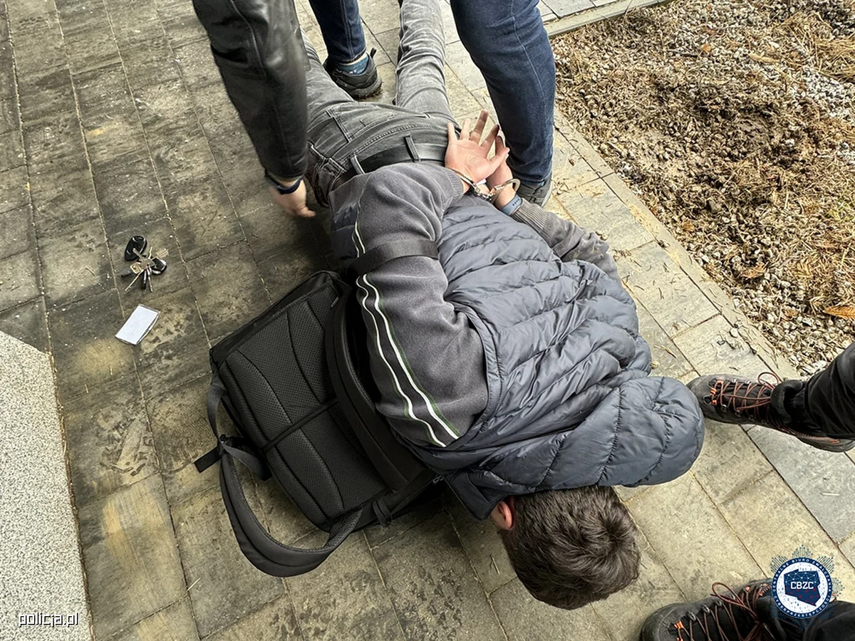 Siedem osób podejrzanych o udział w zorganizowanej grupie przestępczej, która wyłudzała pieniądze podczas sprzedaży samochodów, zatrzymali policjanci Centralnego Biura Zwalczania Cyberprzestępczości w Katowicach.