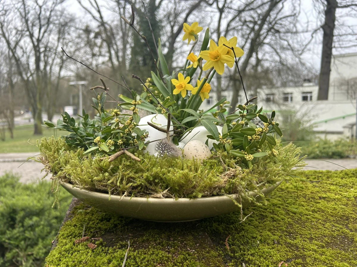 Przygotowanie świątecznej ozdoby na wielkanocny stół może zająć dosłownie kilka minut. Potrzebne elementy znajdziemy w domu, ogrodzie czy parku. "Nie musi być równo jak od linijki. Ma się nam po prostu podobać" - przekonuje prof. Piotr Salachna z Katedry Ogrodnictwa Zachodniopomorskiego Uniwersytetu Technologicznego, wieloletni juror konkursów florystycznych. 