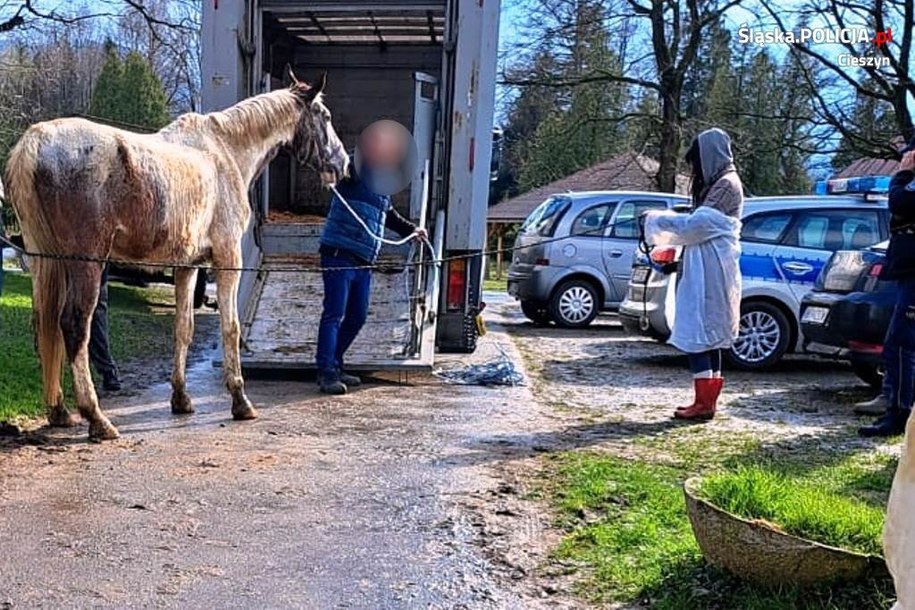 /Śląska policja /