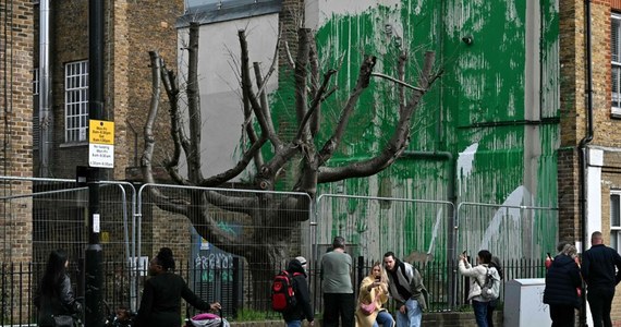 Niewielki blok mieszkaniowy w północnym Londynie nagle zyskał na wartości. Powodem jest graffiti Banksy’ego, które w miniony weekend pojawiło się na jednej ze ścian budynku. 