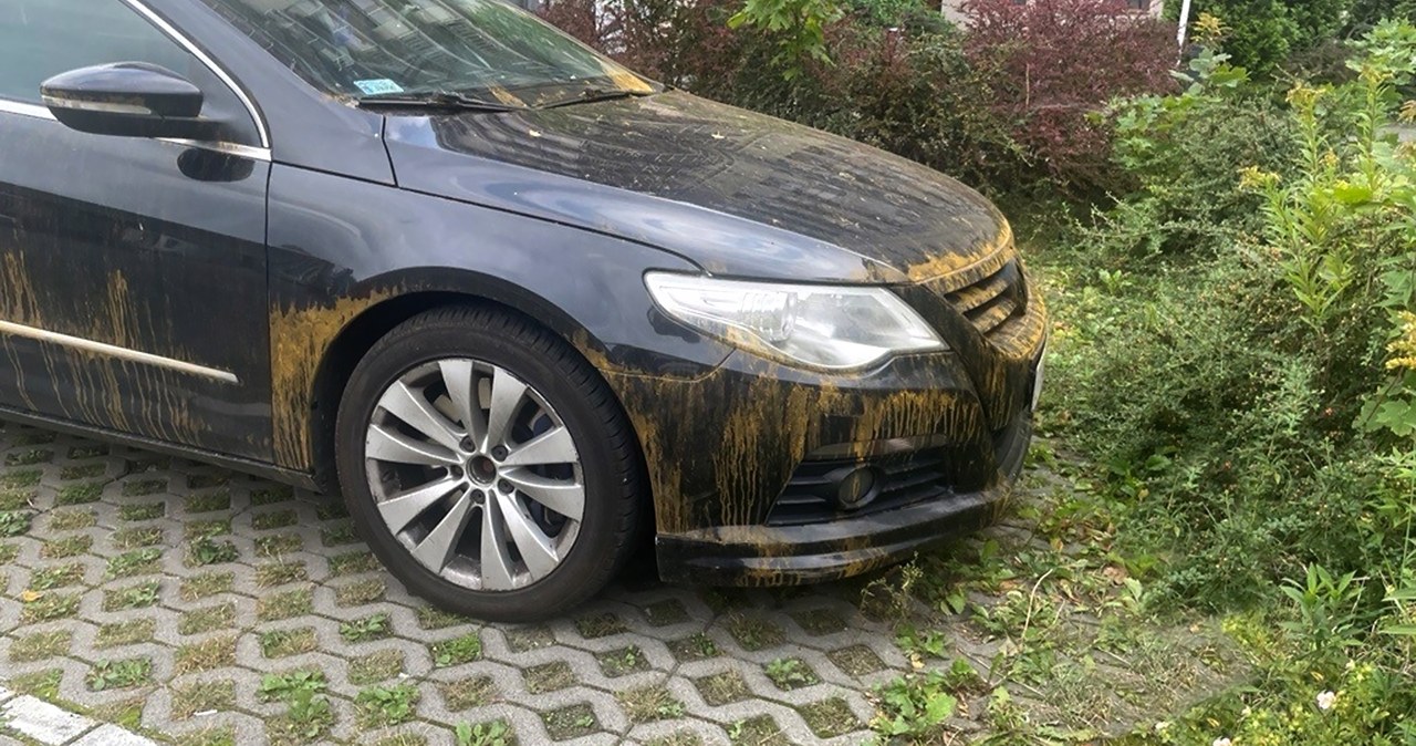 Zaskoczeni kierowcy pokazują brudne auta po deszczu. Winny pył z Sahary