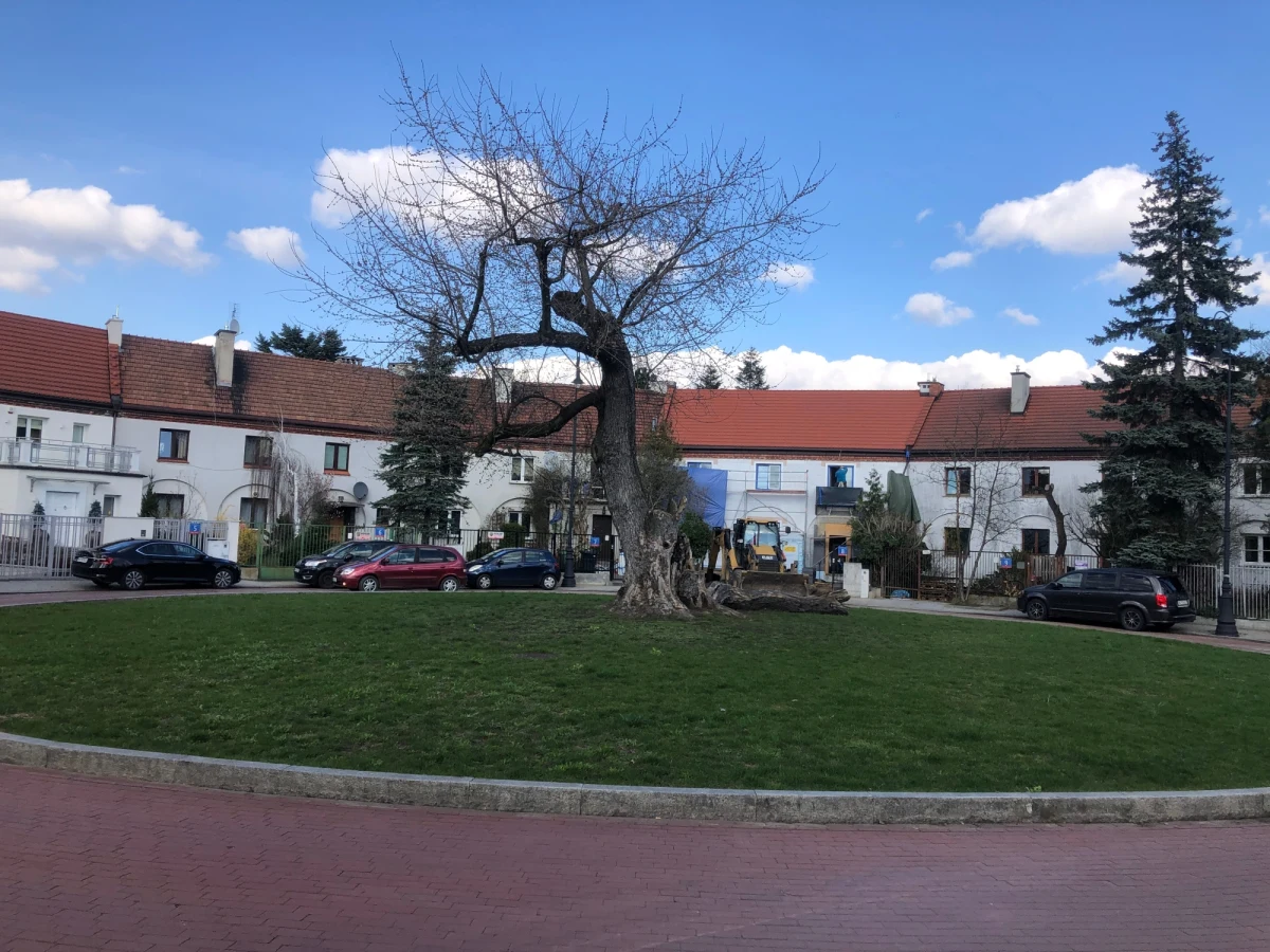 Wielki zegar słoneczny, gdzie godziny odmierzałaby wskazówka ze smukłej topoli - taki ambitny projekt urbanistyczny z lat 20. ubiegłego wieku miał powstać na placu Słonecznym w Warszawie. Nigdy do tego jednak nie doszło.