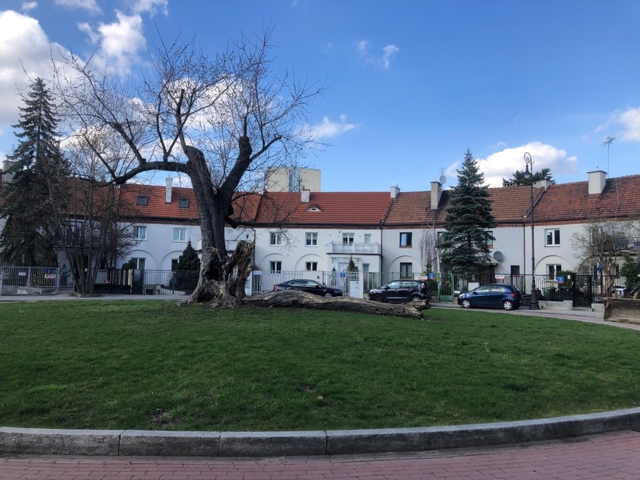 /Fot. Michał Dobrołowicz /RMF FM