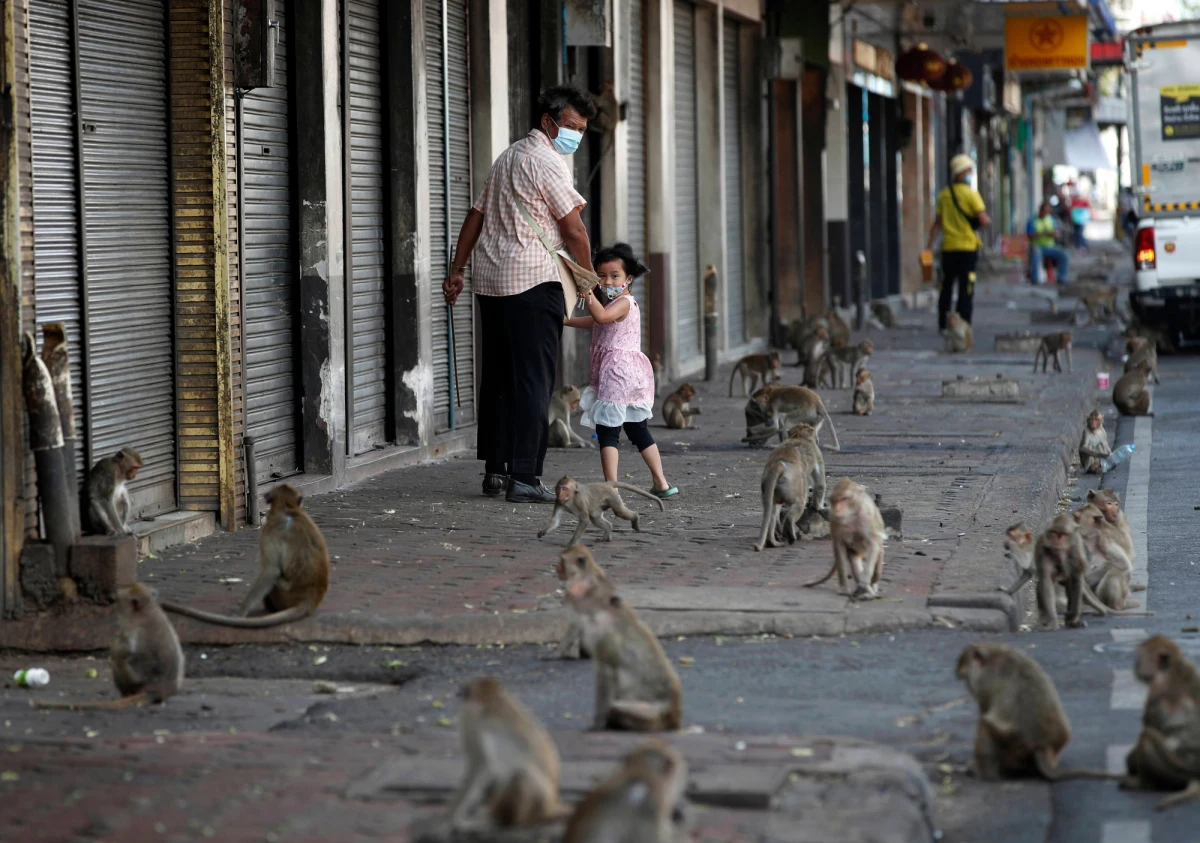 W jednym z miast w Tajlandii utworzono specjalną jednostkę walczącą z... agresywnymi małpami. Funkcjonariusze są wyposażeni w proce. 