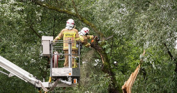 Burze z silnym wiatrem przeszły w nocy nad częścią Podkarpacia. Strażacy interweniowali 44 razy - głównie usuwali połamane drzewa i zabezpieczali zerwane dachy.
