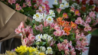​Nieduża gmina, duże pieniądze. Na co burmistrz Wąsosza wydał ponad 75 tys. w kwiaciarni?