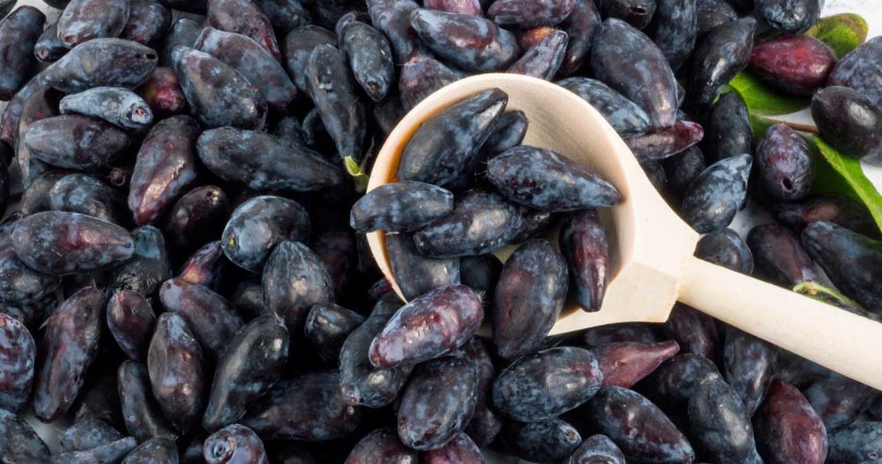 Najzdrowszy owoc w tym sezonie. Wzmacnia serce i może chronić przed cukrzycą