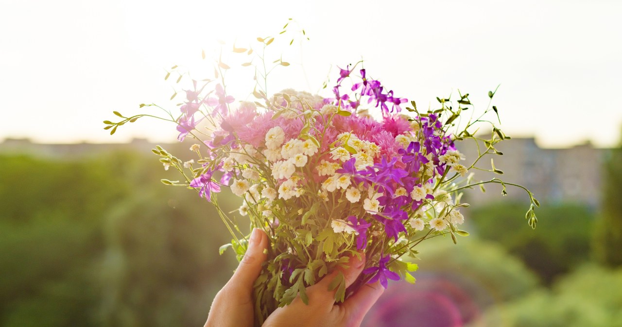 Nie przynoś tych kwiatów do domu. Zrobisz to, a czeka cię bieda i nieszczęście