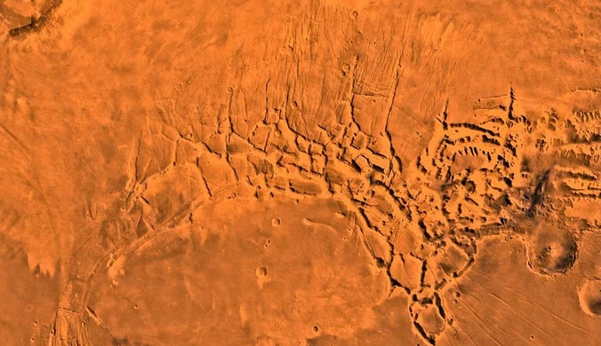 Niezwykłe odkrycie na Marsie. "Istotne znacznie dla zrozumienia planety"