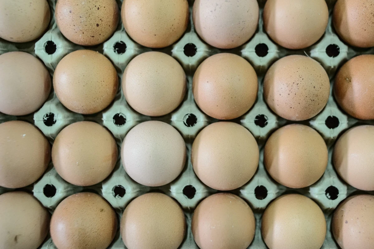 Ile jaj zjada rocznie statystyczny Polak? Według Głównego Urzędu Statystycznego to 159 sztuk. Branża drobiarska twierdzi jednak, że ta liczba jest niedoszacowana. Zdaniem jej przedstawicieli każdy z nas zjada w ciągu roku ok. 205 jaj. 