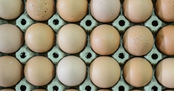 Ile jaj zjada rocznie statystyczny Polak? Według Głównego Urzędu Statystycznego to 159 sztuk. Branża drobiarska twierdzi jednak, że ta liczba jest niedoszacowana. Zdaniem jej przedstawicieli każdy z nas zjada w ciągu roku ok. 205 jaj. 