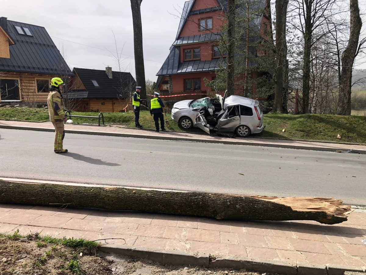W Zakopanem przed południem na drodze przez dzielnice Stachonie doszło do tragicznego wypadku. Drzewo w wyniku wichury spadło na jadący samochód, zginęła kobieta. Policja postanowiła zamknąć drogi w kierunku Morskiego Oka, które zagrożone są przewracającymi się drzewami - jeśli ktoś nie musi, lepiej by nie wychodził z domu - apeluje rzecznik zakopiańskiej Policji Roman Wieczorek. 