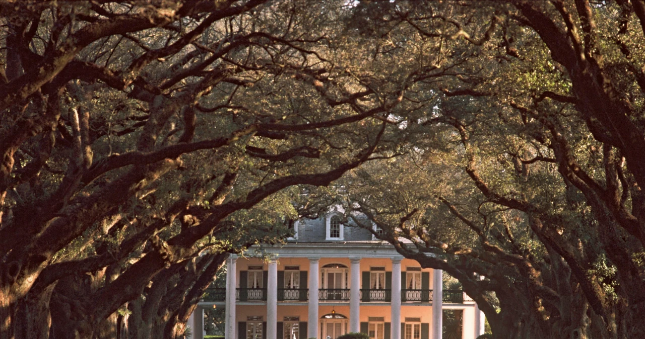 Drzewa w sądzie. Rozwiązały zagadkę Katynia i śmierci generała Sikorskiego