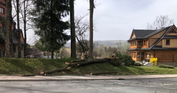 Potężny halny doprowadził wczoraj na Podhalu do śmierci pięciu osób. Wyrządził też sporo szkód m.in. na górskich szlakach. Dziś sytuacja jest nieco lepsza, dlatego leśnicy rozpoczęli porządkowanie górskich tras. Tatrzański Park Narodowy prosi jednak, aby wszystkie osoby wychodzące w Tatry zachowały szczególną ostrożność.