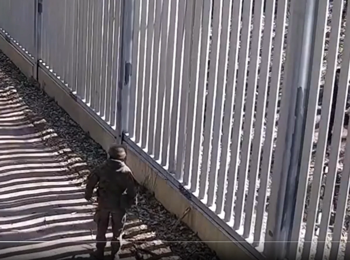 736 cudzoziemców próbowało w ostatnich czterech dniach nielegalnie przedostać się przez białorusko-polską granicę. Doszło do kolejnych incydentów rzucania kamieniami i gałęziami. Funkcjonariusze zatrzymali przemytników – poinformowała we wtorek straż graniczna.