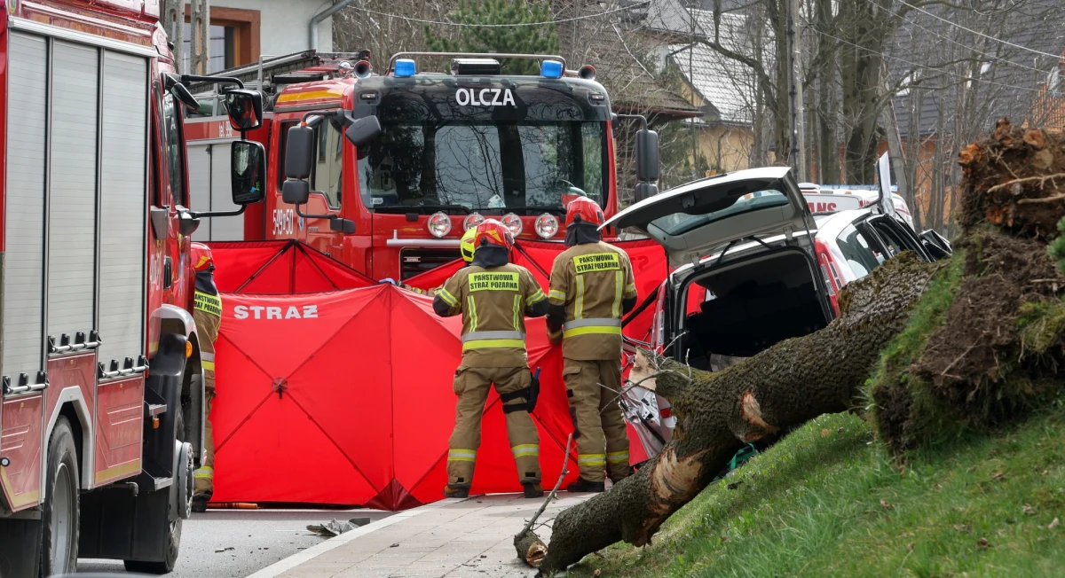 Zawiodły procedury - tak w skrócie można określić wczorajszą, spóźnioną reakcję Rządowego Centrum Bezpieczeństwa dotyczącą wichury na Podhalu. Mieszkańcy regionu otrzymali alerty SMS o niebezpiecznym wietrze dopiero po godz. 16:00, kilka godzin po pierwszej tragedii. Potężna wichura spowodowała śmierć pięciu osób.