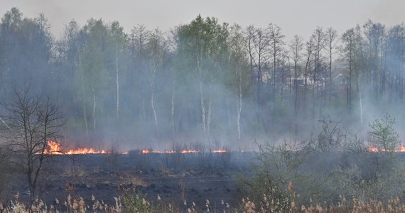 W święta wielkanocne warmińsko-mazurscy strażacy kilkanaście razy wyjeżdżali do pożarów traw. Wypalanie łąk i pastwisk to problem, który niestety wraca każdego roku na początku wiosny.