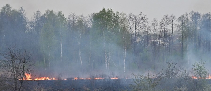 W święta wielkanocne warmińsko-mazurscy strażacy kilkanaście razy wyjeżdżali do pożarów traw. Wypalanie łąk i pastwisk to problem, który niestety wraca każdego roku na początku wiosny.