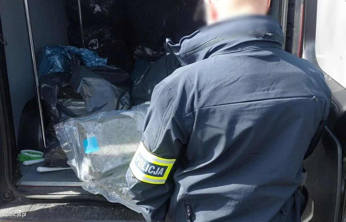 Policjanci z Poznania podczas kontroli drogowej znaleźli w zatrzymanym samochodzie 129 kg marihuany o wartości 5 milionów złotych - podała wielkopolska policja. 31-letni kierowca trafił do aresztu.