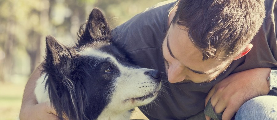 Miłośnicy psów są zdrowsi - przekonuje brytyjski The Guardian, prezentując wyniki badań szwedzkich naukowców. Zauważyli oni, że właściciele czworonogów są mniej narażeni na choroby serca. Ale nie tylko! Przeczytajcie o tym, jak czworonogi wpływają na nasze zdrowie.