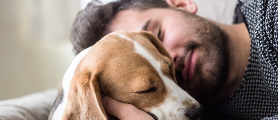 Kobiety cieszą się lepszym snem, gdy dzielą łóżko z psem niż wtedy, gdy śpią obok mężczyzny. Niezbyt wygodnie śpi się też obok kota – donoszą najnowsze badania.