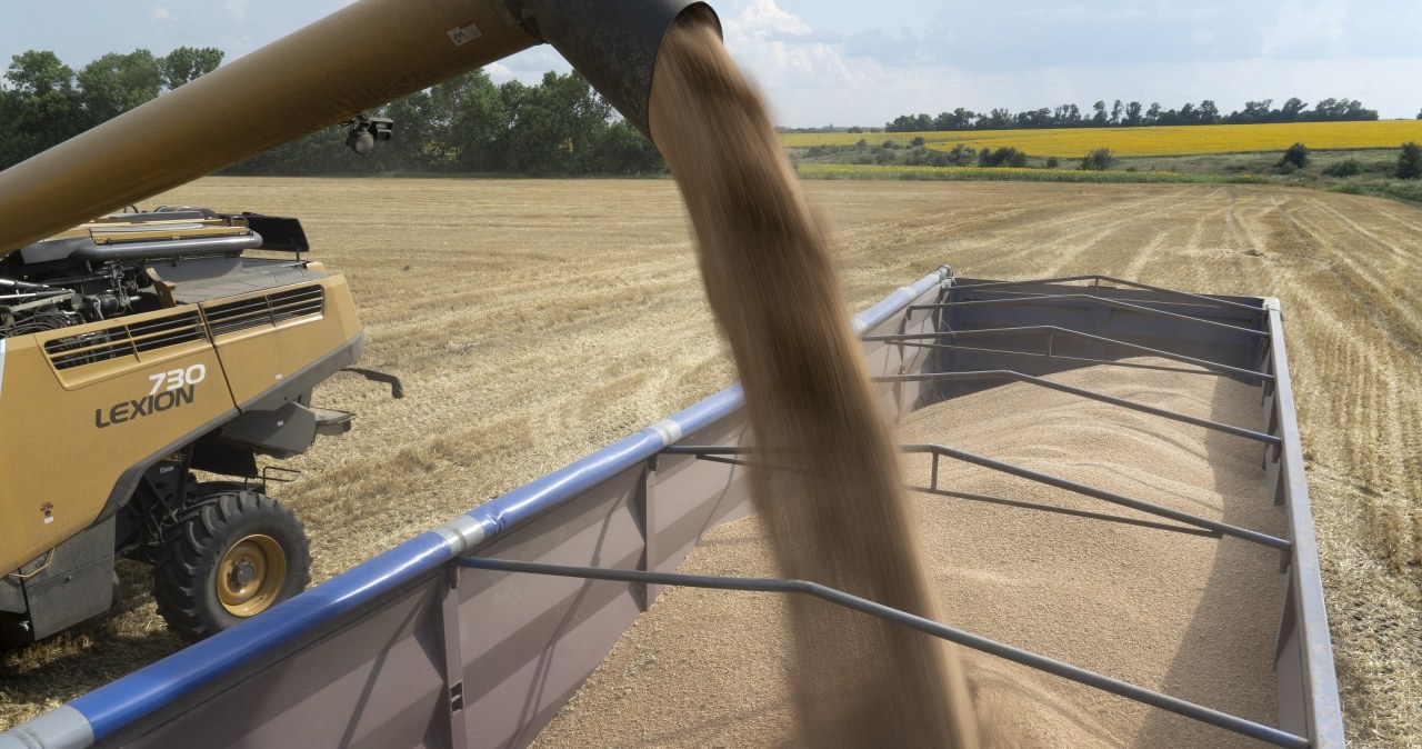 Nowa umowa UE z Ukrainą wchodzi w życie. Co z polskim embargo na zboże?