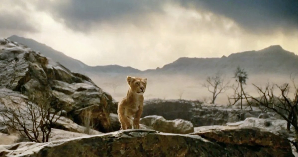 Disney zaprezentował pierwsze zdjęcie z filmu "Mufasa: Król lew". Widzimy na nim tytułowego bohatera.