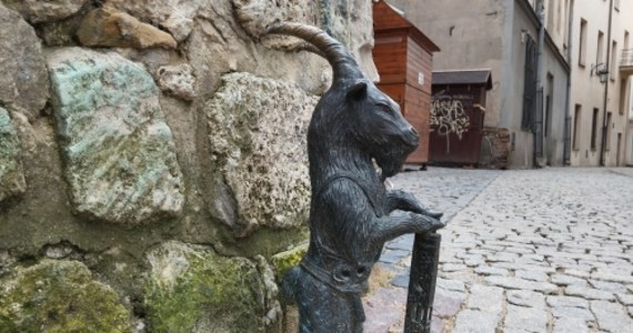 Opóźni się wykonanie i montaż 11 nowych rzeźb koziołków w centrum Lublina. Z powodu swojego błędu urząd miasta unieważnił przetarg. 