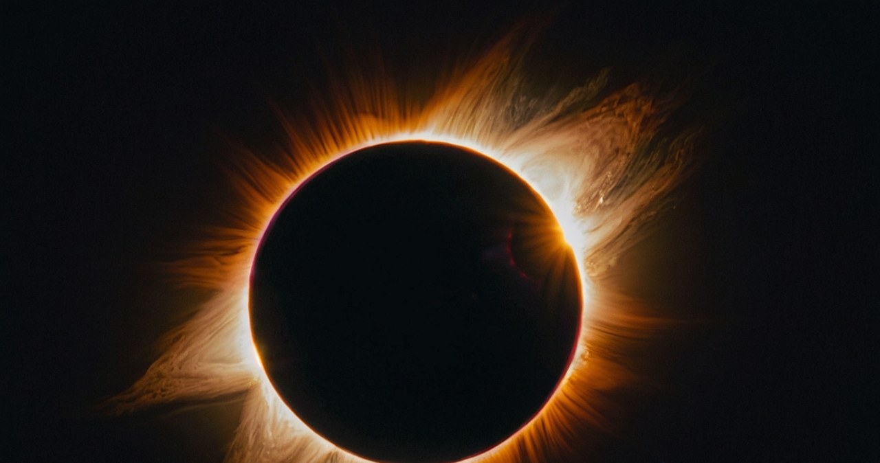 Wielki świergot. Tak całkowite zaćmienie Słońca wpływa na ptaki