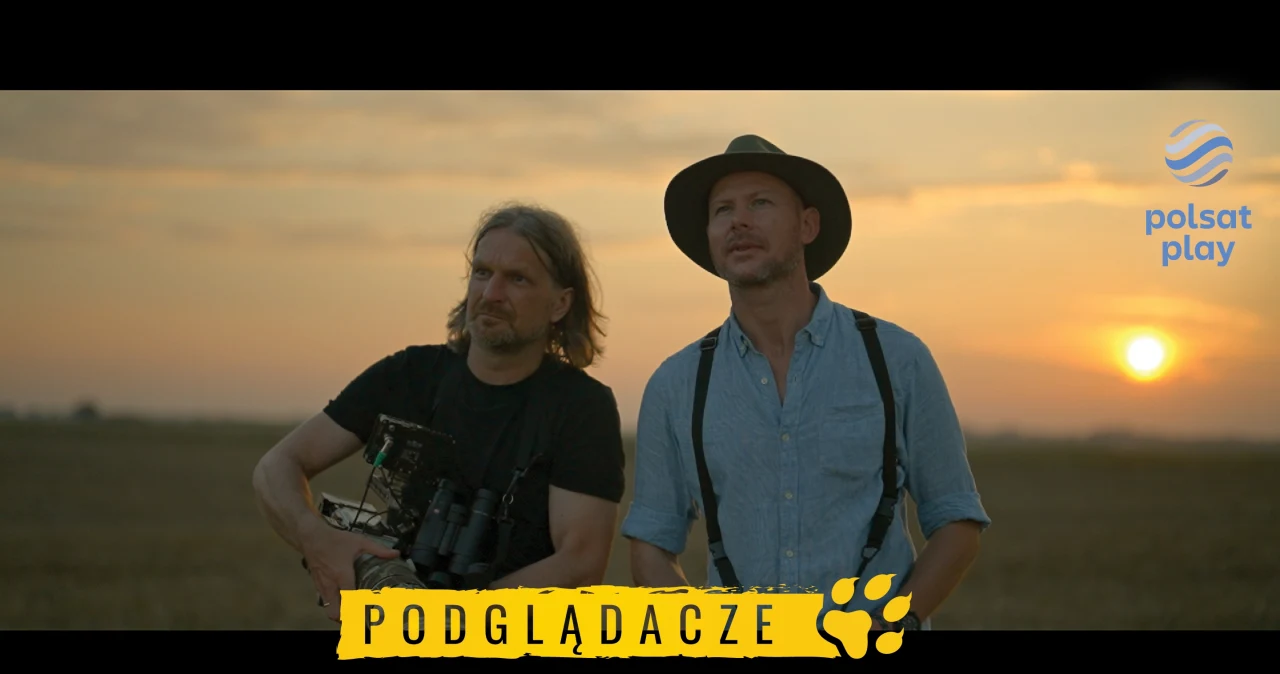 „Podglądacze przyrody”. Nowy serial o polskich zwierzętach „Podglądacze przyrody”. Nowy serial o polskich zwierzętach