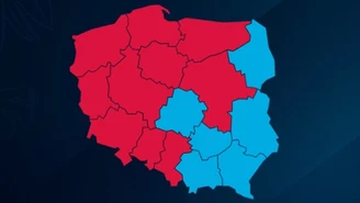 Jak głosowano w poszczególnych województwach? Wyborcza mapa Polski