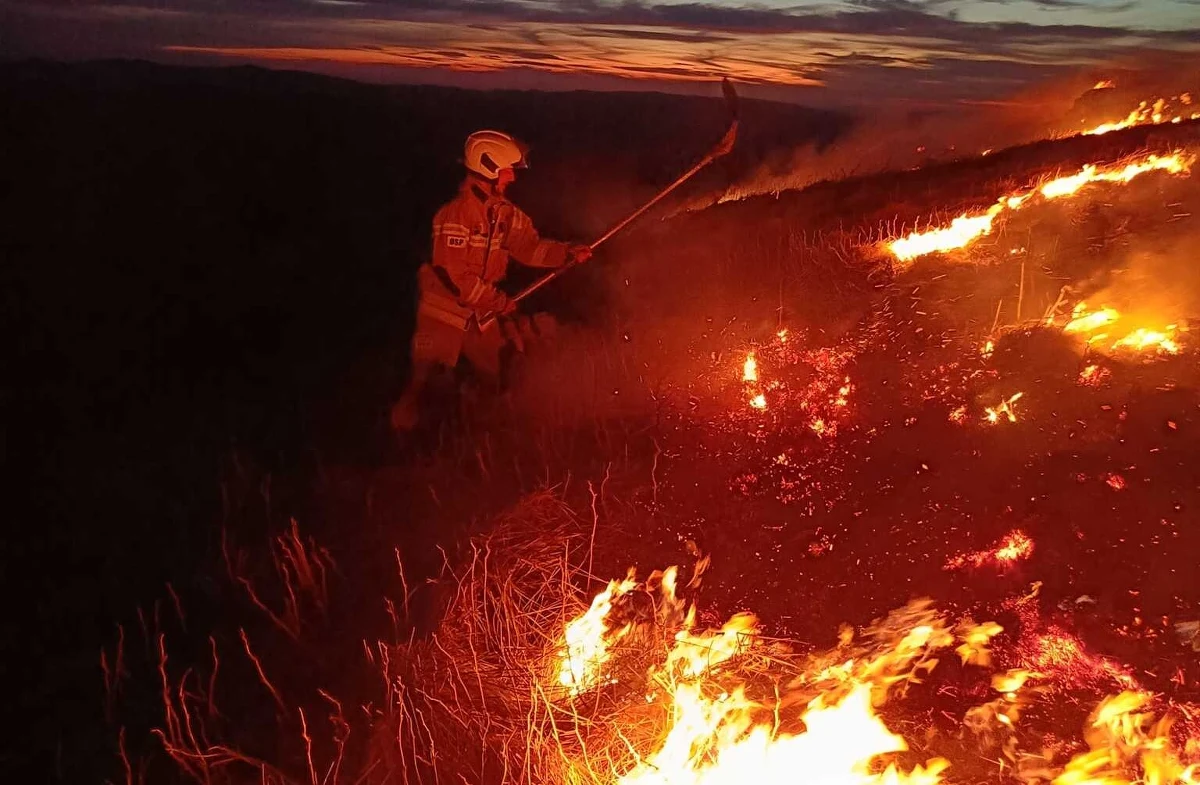 Jest już bilans strat przyrodniczych po wieczornym pożarze na Połoninie Caryńskiej. Straty są mniejsze niż się obawiano, bo też pożar okazał się mniej rozległy, niż wynikało z pierwotnych szacunków.