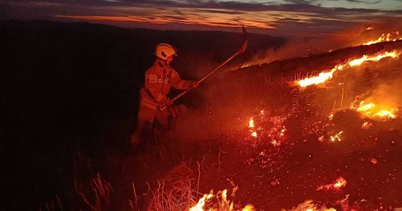 Jest już bilans strat przyrodniczych po wieczornym pożarze na Połoninie Caryńskiej. Straty są mniejsze niż się obawiano, bo też pożar okazał się mniej rozległy, niż wynikało z pierwotnych szacunków.