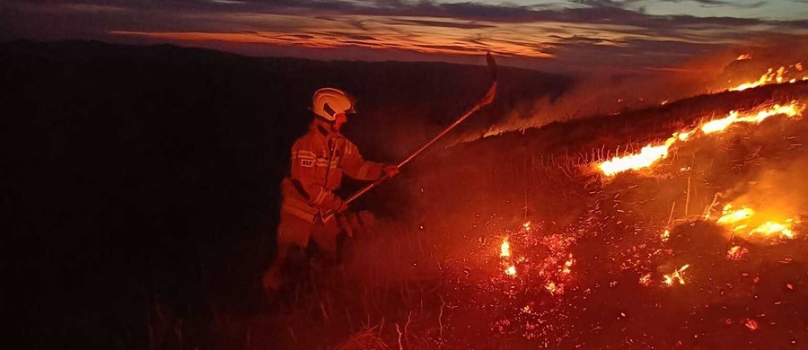 Jest już bilans strat przyrodniczych po wieczornym pożarze na Połoninie Caryńskiej. Straty są mniejsze niż się obawiano, bo też pożar okazał się mniej rozległy, niż wynikało z pierwotnych szacunków.