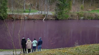 Jezioro pełne bakterii. Widowiskowy spektakl w Niemczech