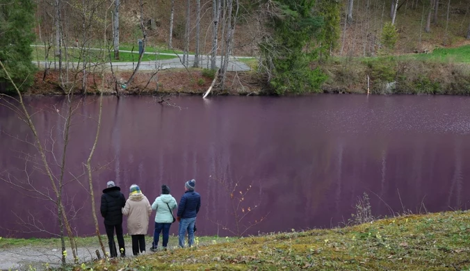 Jezioro pełne bakterii. Widowiskowy spektakl w Niemczech