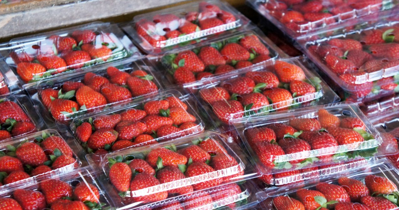 Polskę zalewają truskawki z zagranicy. 62 tys. ton z jednego kraju