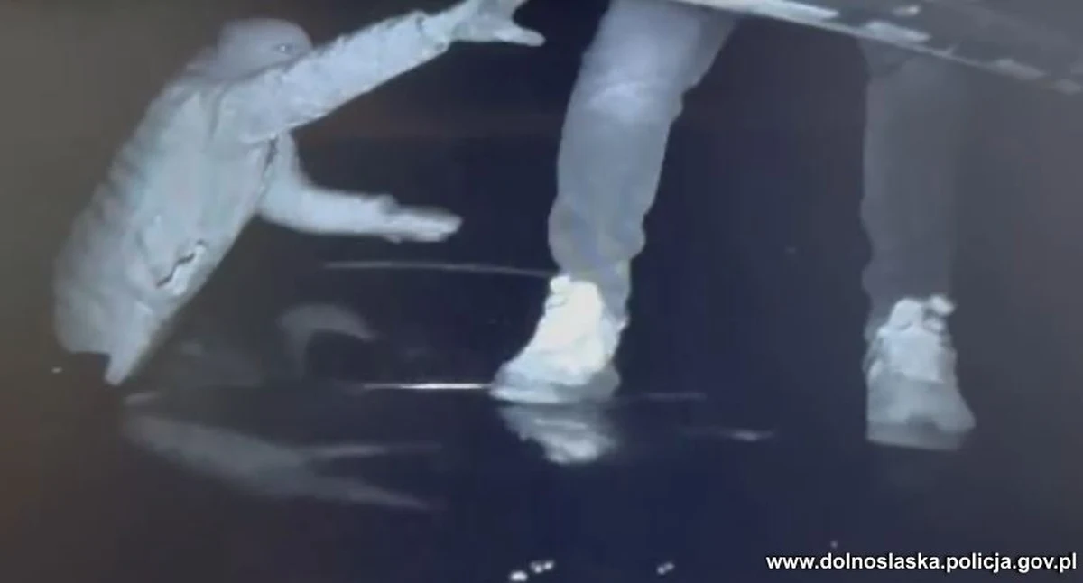Dolnośląscy policjanci zatrzymali trzech mężczyzn, którzy włamywali się do części ładunkowej pojazdów ciężarowych i kradli przewożone towary. Sposób ich działania był o tyle nietypowy, a zarazem niebezpieczny, że okradali naczepy... w czasie jazdy.