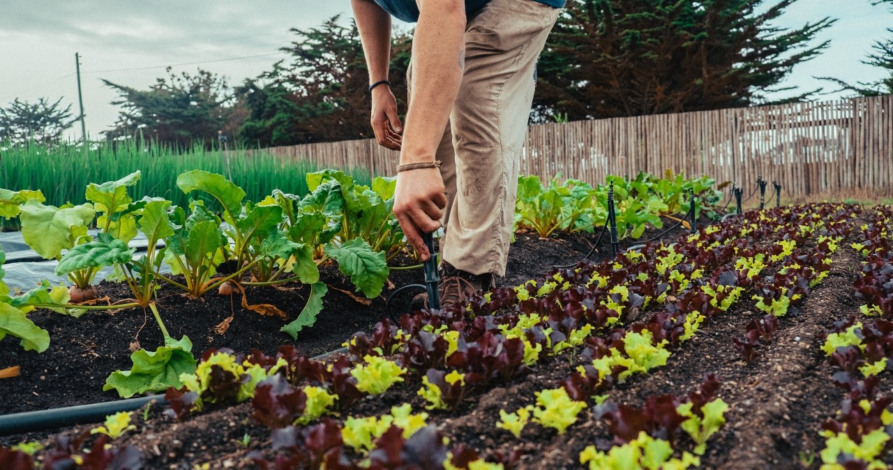 Ćwiczenie łączące stulatków z całego świata. Oto sposób na długowieczność