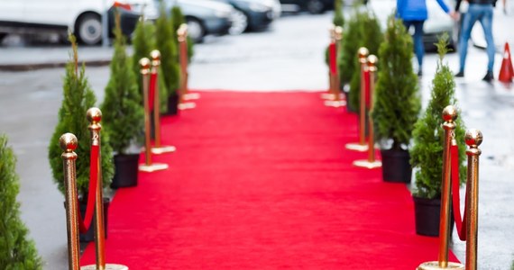 19 filmów, m.in. "Megalopolis" Francisa Forda Coppoli, "Parthenope" Paolo Sorrentino, "Kinds of Kindness" Yorgosa Lanthimosa i "The Girl With The Needle" Magnusa von Horna, powalczy o Złotą Palmę podczas 77. festiwalu w Cannes. Wydarzenie odbędzie się w dniach 14-25 maja.
