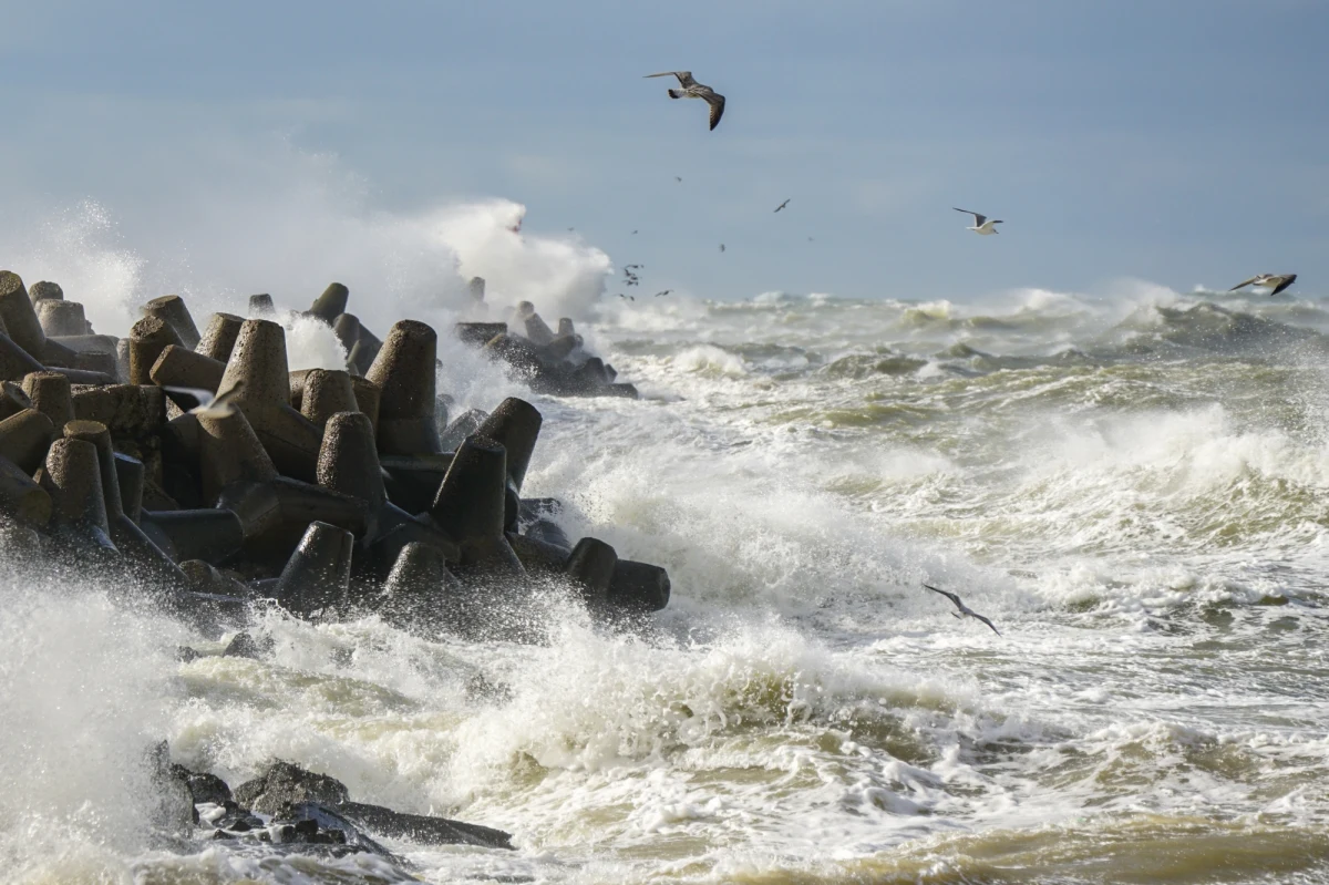 Biuro Meteorologicznych Prognoz Morskich w Szczecinie przekazało ostrzeżenie drugiego stopnia o sztormie we wschodniej części strefy brzegowej - poinformował gdański magistrat. Alert obowiązuje do godz. 20:00.

