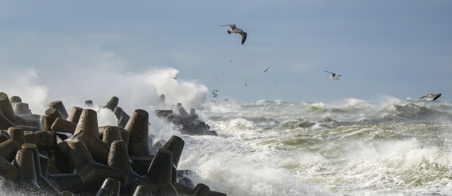 Biuro Meteorologicznych Prognoz Morskich w Szczecinie przekazało ostrzeżenie drugiego stopnia o sztormie we wschodniej części strefy brzegowej - poinformował gdański magistrat. Alert obowiązuje do godz. 20:00.
