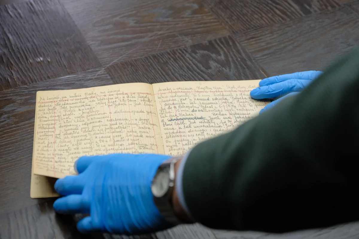 Mama nigdy nie mówiła o istnieniu tego pamiętnika. Odkryłem go przekopując się przez pozostałe po niej materiały - wspomina Michał Zabłocki, syn Aliny Janowskiej. Powstańczy dziennik aktorki został przekazany do Muzeum Powstania Warszawskiego.