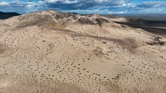 "The Washington Post": Dolina Śmierci odżyła. Niespotykane zjawisko na słynnej pustyni 